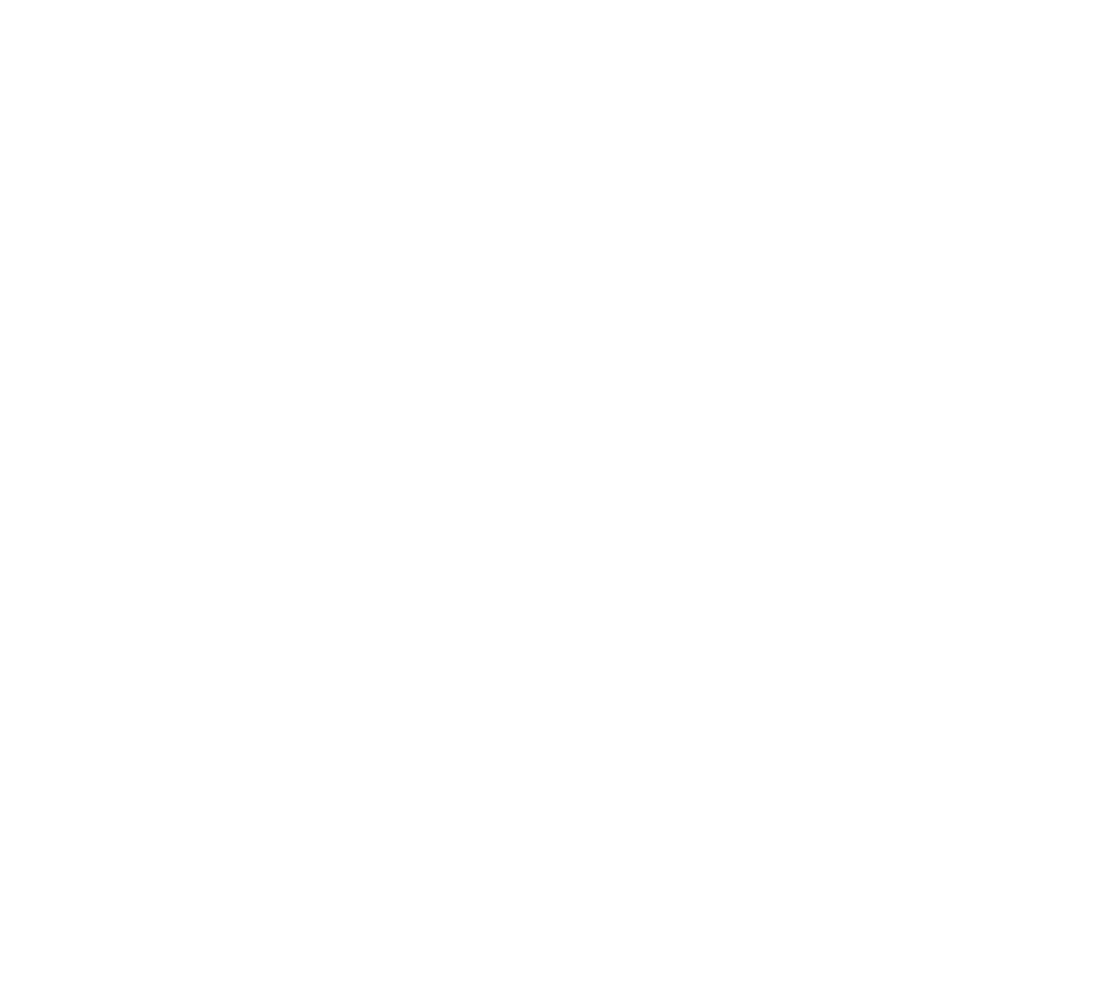 NSR's Softball Combine Logo